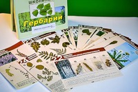 Гербарий к курсу основ общей биологии - fgospostavki.ru - Махачкала
