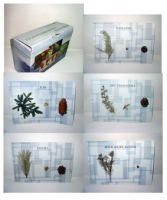 Коллекция "Голосеменные растения" - fgospostavki.ru - Махачкала