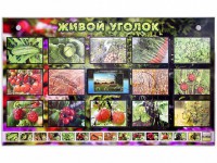 Комплект оборудования "Живой уголок" (растения) с тифлопереводом и сурдокомментариями - fgospostavki.ru - Махачкала