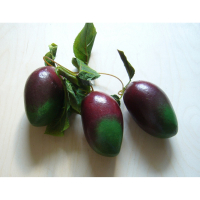 Ветка муляжей "Манго" - fgospostavki.ru - Махачкала