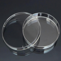 Чашка Петри стеклянная с крышкой 100х20 - fgospostavki.ru - Махачкала