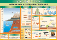 Таблица "Организмы и среды их обитания" (100х140 сантиметров, винил) - fgospostavki.ru - Махачкала