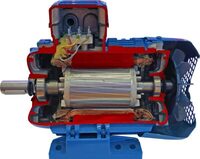 Учебная модель «Электродвигатель асинхронный в разрезе» - fgospostavki.ru - Махачкала