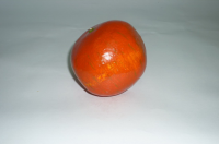 Муляж "Гранат" - fgospostavki.ru - Махачкала