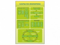 Стенды "Схемы по экономике" - fgospostavki.ru - Махачкала