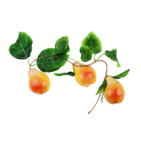 Ветка муляжей "Груши" - fgospostavki.ru - Махачкала