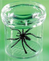 Баночка для изучения насекомых GeoSafari - fgospostavki.ru - Махачкала