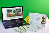 Гербарий натурально-интерактивный "Лекарственные растения" - fgospostavki.ru - Махачкала