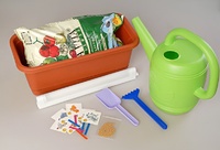 Набор "Я учусь выращивать растения" - fgospostavki.ru - Махачкала