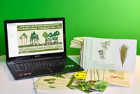 Гербарий натурально-интерактивный "Растительные сообщества. Лес" - fgospostavki.ru - Махачкала