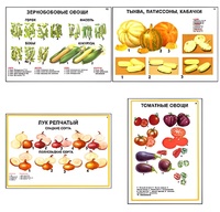 Плакаты ПРОФТЕХ "Ассортимент овощных культур" (12 пл, винил, 70х100) - fgospostavki.ru - Махачкала