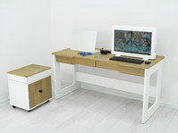 Профессиональный стол логопеда Logo Edu - fgospostavki.ru - Махачкала