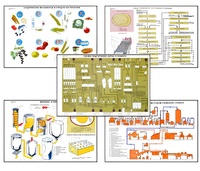 Плакаты ПРОФТЕХ "Сырье и материалы хлебопекарного производства" (20 пл, винил, 70х100) - fgospostavki.ru - Махачкала