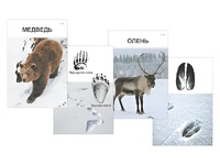 Комплект дидактических карточек "Следы на снегу" - fgospostavki.ru - Махачкала