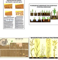 Плакаты ПРОФТЕХ "Агрономия" (5 пл, винил, 70х100) - fgospostavki.ru - Махачкала