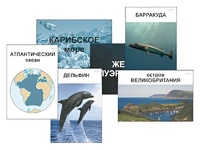 Модель-аппликация "Океаны. Знакомство" (ламинированная) - fgospostavki.ru - Махачкала