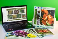 Гербарий натурально-интерактивный "Основные группы растений. Грибы. Лишайники" - fgospostavki.ru - Махачкала