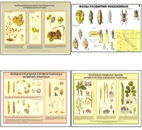 Плакаты ПРОФТЕХ "Вредители и болезни с/х культур и меры борьбы с ними" (11 пл, винил, 70х100) - fgospostavki.ru - Махачкала