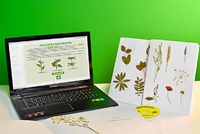 Гербарий натурально-интерактивный "Морфология растений" - fgospostavki.ru - Махачкала