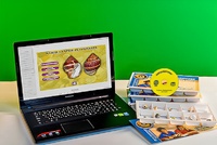 Коллекция натурально-интерактивная "Раковины моллюсков" - fgospostavki.ru - Махачкала