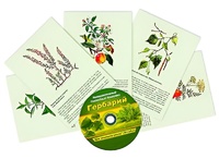Интерактивный наглядный комплекс "Гербарий "Для начальной школы" - fgospostavki.ru - Махачкала