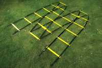 Лестница для тренировок (вариант 1) - fgospostavki.ru - Махачкала