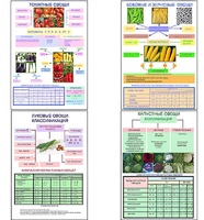 Плакаты ПРОФТЕХ "Классификация овощей" (11 пл, винил, 70х100) - fgospostavki.ru - Махачкала