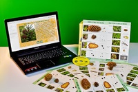 Коллекция натурально-интерактивная "Шишки, плоды, семена деревьев и кустарников" - fgospostavki.ru - Махачкала