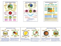 Плакаты ПРОФТЕХ "Плоды" (6 пл, винил, 70х100) - fgospostavki.ru - Махачкала