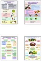 Плакаты ПРОФТЕХ "Классификация овощей и переработка" (8 пл, винил, 70х100) - fgospostavki.ru - Махачкала