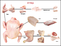 Таблица "Правила разделки мясных туш. Курица" (100х140 сантиметров, винил) - fgospostavki.ru - Махачкала