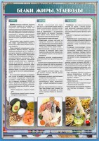 Стенд "Белки. Жиры. Углеводы" - fgospostavki.ru - Махачкала