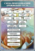 Стенд "Схема приготовления дрожжевого теста" - fgospostavki.ru - Махачкала