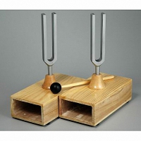 Камертоны на резонансных ящиках с молоточком - fgospostavki.ru - Махачкала