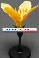 Модель "Цветок капусты" - fgospostavki.ru - Махачкала