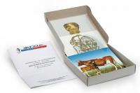 Модель-аппликация "Цикл развития бычьего цепня" (набор из 7 карт) - fgospostavki.ru - Махачкала