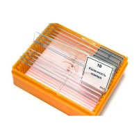 Набор готовых микропрепаратов (зоология) - fgospostavki.ru - Махачкала