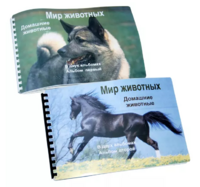 Пособие для слабовидящих - Домашние животные - fgospostavki.ru - Махачкала