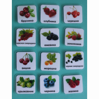 Набор карточек "Ягоды" - fgospostavki.ru - Махачкала