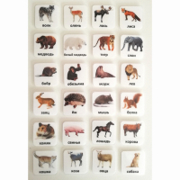 Набор карточек "ЖИВОТНЫЕ" - fgospostavki.ru - Махачкала