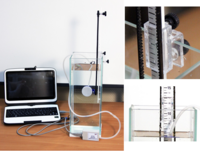 Набор демонстрационный «Гидростатика и плавание тел» - fgospostavki.ru - Махачкала