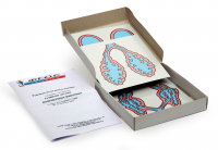 Модель-аппликация "Развитие легких позвоночных животных" (набор из 5 карт) - fgospostavki.ru - Махачкала