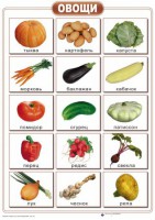 Таблицы "Окружающий мир" (формат А2, ламинированные, 10 таблиц) - fgospostavki.ru - Махачкала