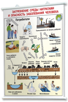 Плакаты по общей экологии для оформления кабинета. - fgospostavki.ru - Махачкала