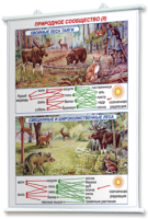 Плакаты по географии России для оформления кабинета. - fgospostavki.ru - Махачкала