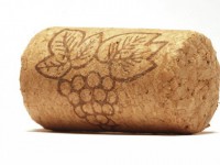 Роторасширитель Пробка - fgospostavki.ru - Махачкала