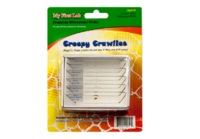 Набор микропрепаратов для микроскопа №2 «Насекомые» - fgospostavki.ru - Махачкала