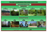 Стенд-планшет электрифицированный «Оценка пожарной опасности в лесах»  - fgospostavki.ru - Махачкала