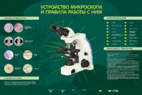 Электрифицированный стенд "Устройство микроскопа и правила работы c ним" - fgospostavki.ru - Махачкала