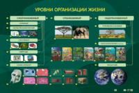 Электрифицированный стенд "Уровни организации жизни" - fgospostavki.ru - Махачкала